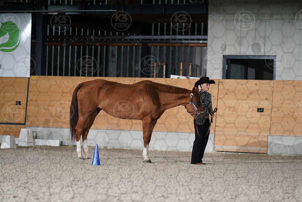 s_A9_05061.JPG